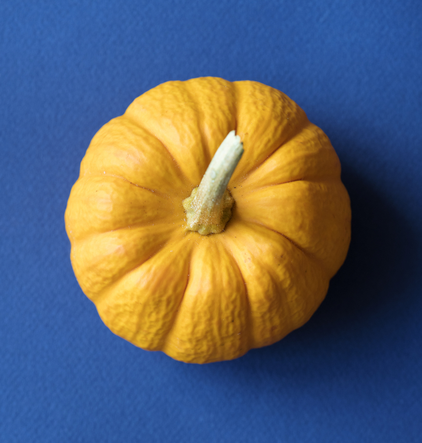 Flor de Calabaza