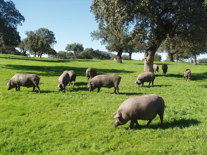 excursiones peninsula