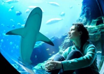 Atlantis, Dubai se prepara para la Semana del Tiburón