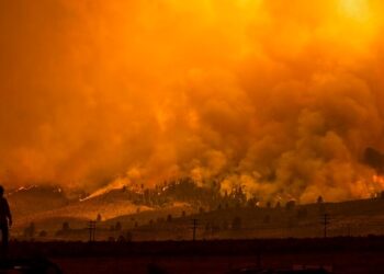 Fires rage in several states as heat wave broils US West, strains power grids