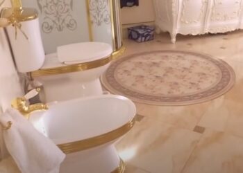 Watch: Golden toilet, kitchen found in Russian police officer's mansion during corruption probe