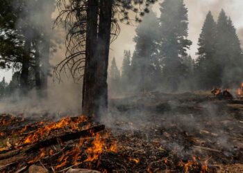 A round-up of the world's worst climate change events in 2021