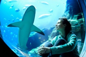 Atlantis, Dubai se prepara para la Semana del Tiburón