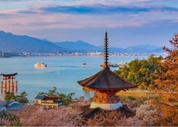 UNWTO urges governments to restart international tourism