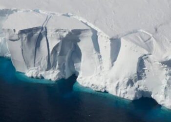 To reside in this Antarctica town, residents must remove appendix; here's why