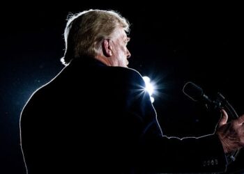 Fact check: From 'deleted database' to 'purged voters', Donald Trump is relentless in election fabrications