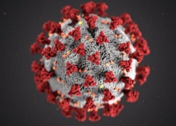 COVID delta variant as contagious as chickenpox, vaccine breakthrough cases can still spread virus: US CDC