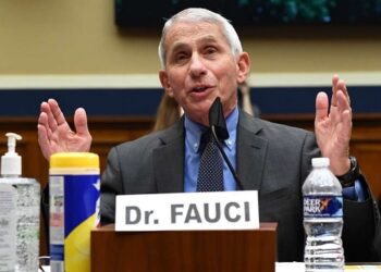 COVID-19 pandemic: Anthony Fauci says more 'pain and suffering' ahead, but doesn't foresee more lockdowns