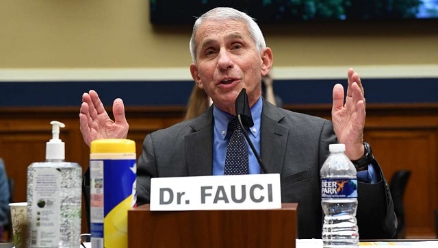 COVID-19 pandemic: Anthony Fauci says more 'pain and suffering' ahead, but doesn't foresee more lockdowns