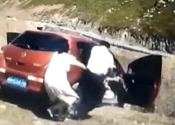 Family jumps out of car as it rolls down a cliff in China's Duku Highway, video goes viral