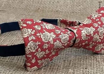 International Bow Day 2021: History, importance, and how to celebrate amid pandemic