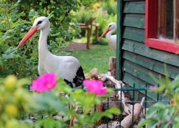 Las tendencias en decoración con casetas de jardín