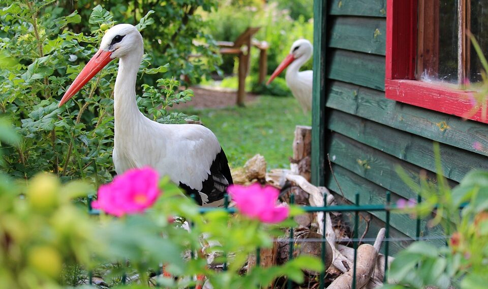 Las tendencias en decoración con casetas de jardín