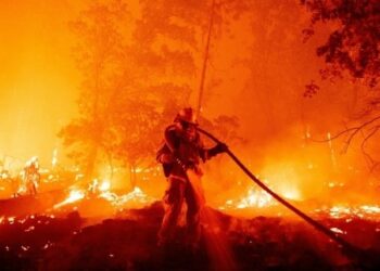 Earth’s energy budget is out of balance: How does energy flow and what this means for climate change