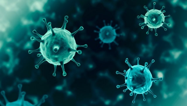 La comunidad de inteligencia de EE. UU. Se divide sobre los orígenes del coronavirus, pero descarta la 'teoría de las armas biológicas'