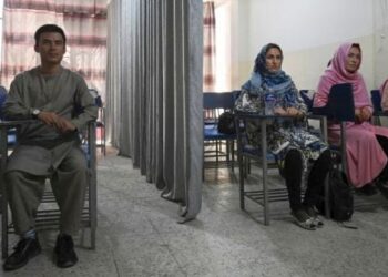 Curtains separate male and female students as Afghan universities reopen under Taliban rule