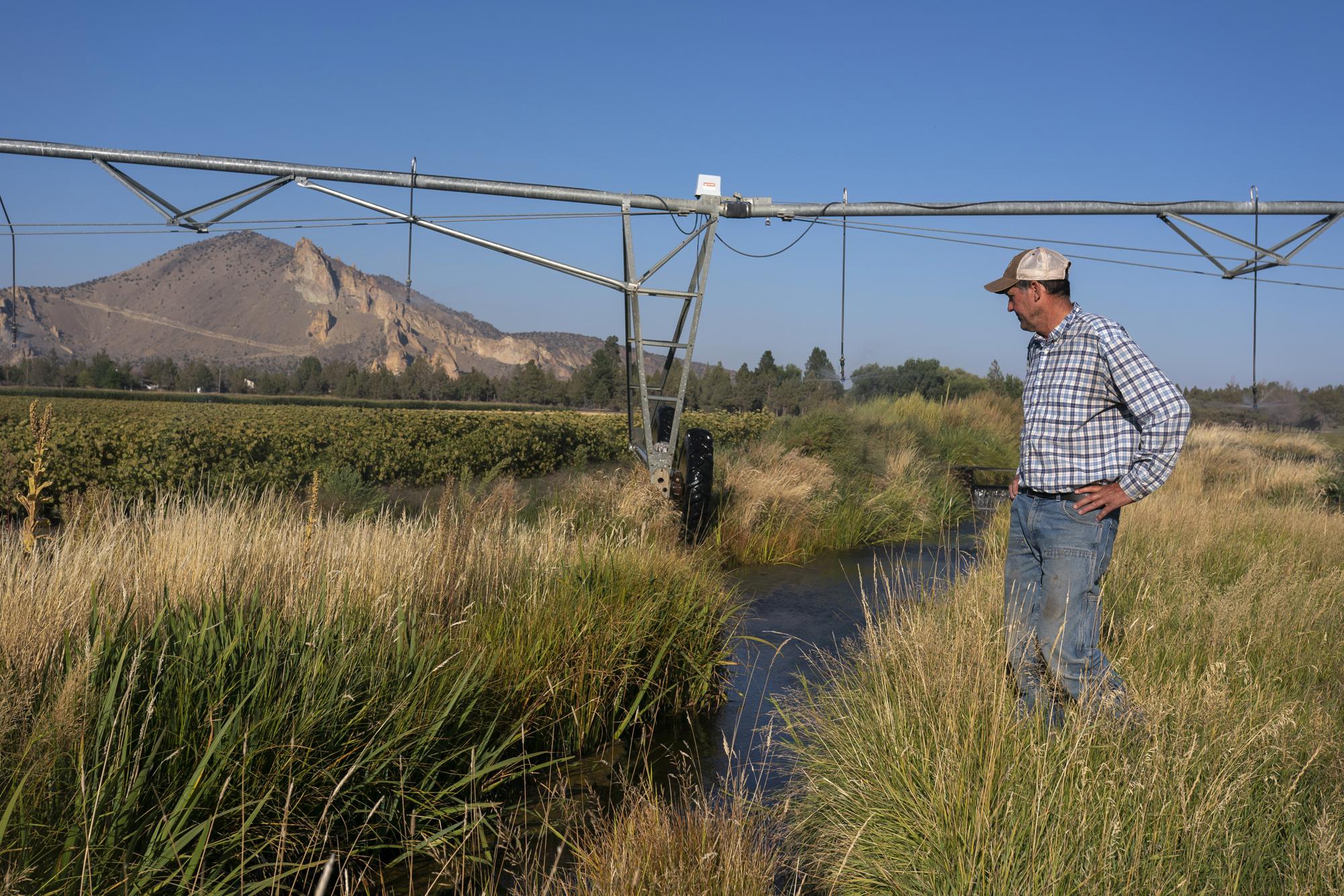 Las sequías asolan el oeste, los problemas de disponibilidad de agua son una carga para los agricultores