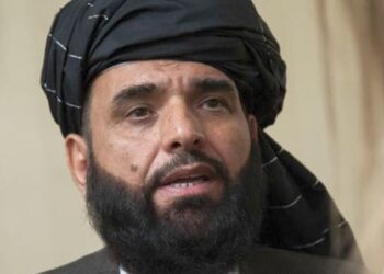 Meet Suhail Shaheen: Taliban's 'soft-spoken, calm' spokesperson named as UN envoy