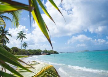 Travel businesses reluctant to renew ATOL licences