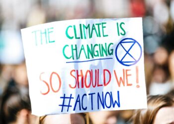 Alternative Nobel Prize recognises environmental activists, awards one million Swedish kronor for each laureate