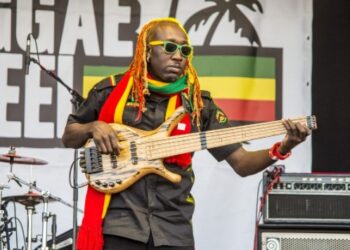concierto de reggae