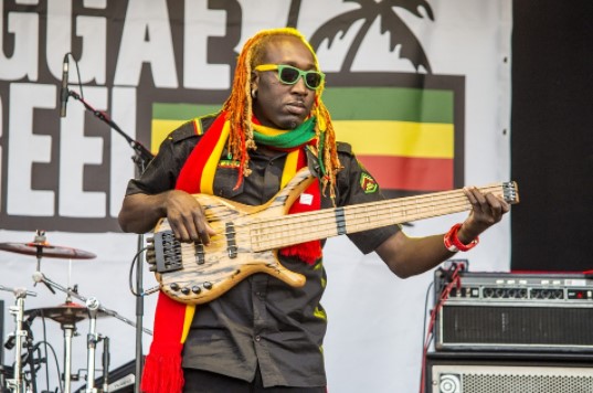 concierto de reggae