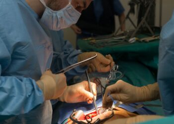 Los trasplantes de corazón caen en España durante la pandemia
