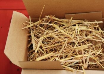 caja con paja