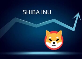invertir en shiba inu