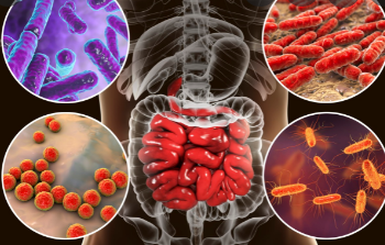 ¿Contribuye la microbioma intestinal a las inequidades en salud?