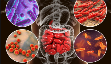 ¿Contribuye la microbioma intestinal a las inequidades en salud?