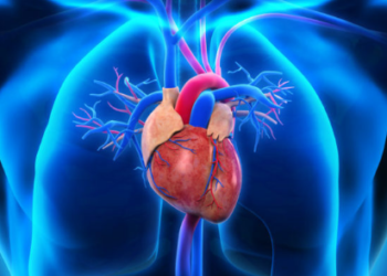 ¿Formar parte de una familia numerosa incrementa el riesgo cardiovascular?