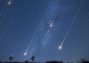 Cómo se observaron desde México las Fenícidas de diciembre