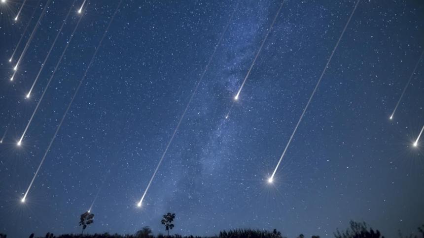 Cómo se observaron desde México las Fenícidas de diciembre