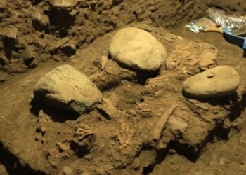 Descubren restos fósiles de un misterioso linaje humano