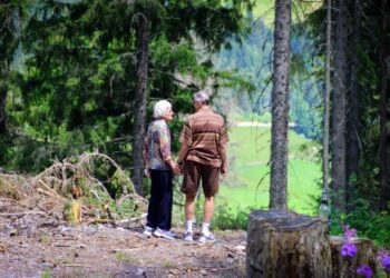 pesonas mayores en el bosque