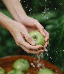 manzana con agua