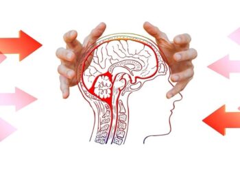 cerebro