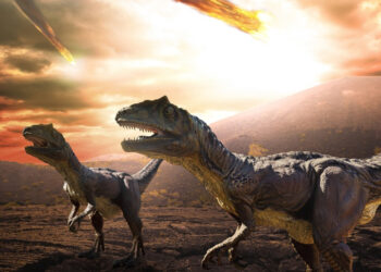 ¿Cuándo se extinguieron los dinosaurios?