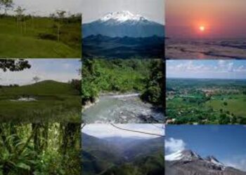¿Qué son los Recursos Naturales?
