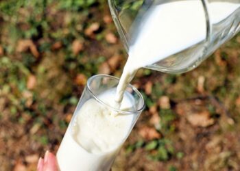 Leche