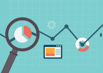 Software para análisis de datos y observaciones analíticas