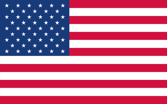 bandera usa