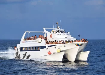 Isla Tabarca, descubre sus paisajes y su encanto desde la localidad de Torrevieja