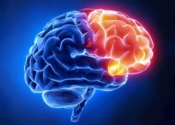 Hábitos cotidianos para mejorar la salud mental