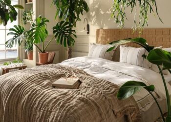 Beneficios de tener plantas en los dormitorios