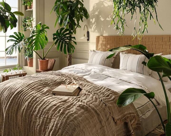 Beneficios de tener plantas en los dormitorios