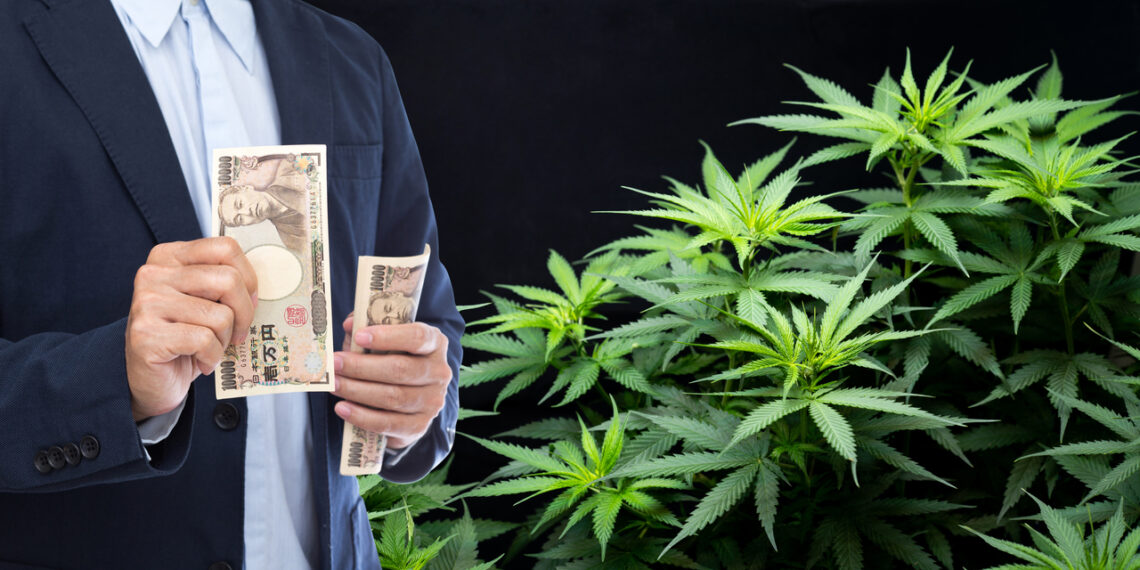 Las grow shop, un negocio al alza en España que no se resiente con la crisis