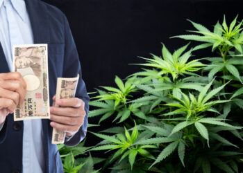 Las grow shop, un negocio al alza en España que no se resiente con la crisis