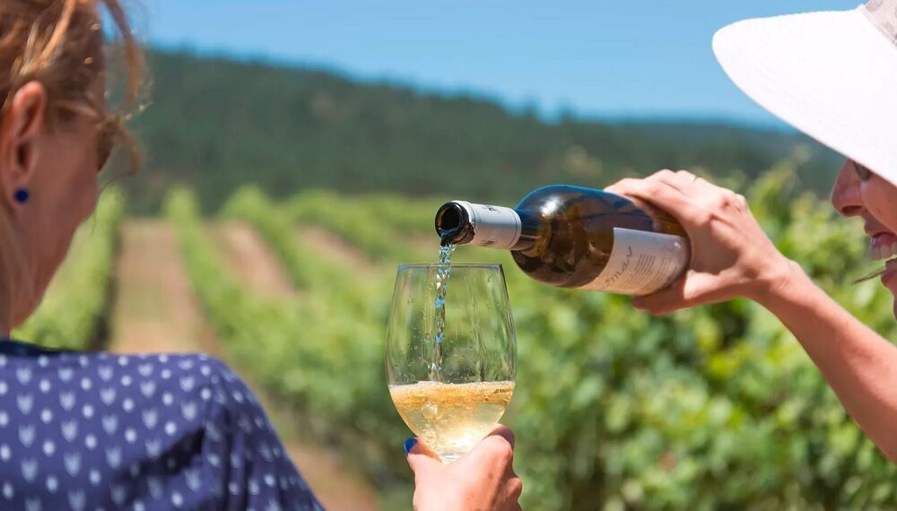 vinos de galicia
